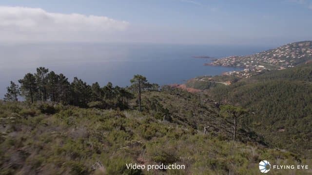 Showreel Flying Eye 2014