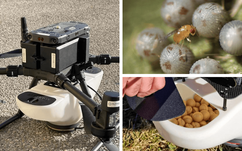 Epandeur Trichogramme Matrice 300