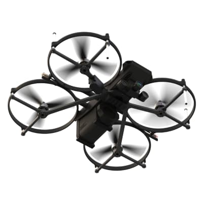 Lemur-S-vue-de-dessous