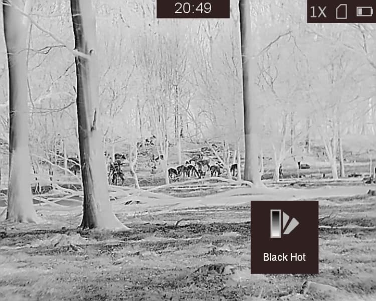 Monoculaire-Gryphon-Hikmicro-détecteur-thermique.-image-black-hot